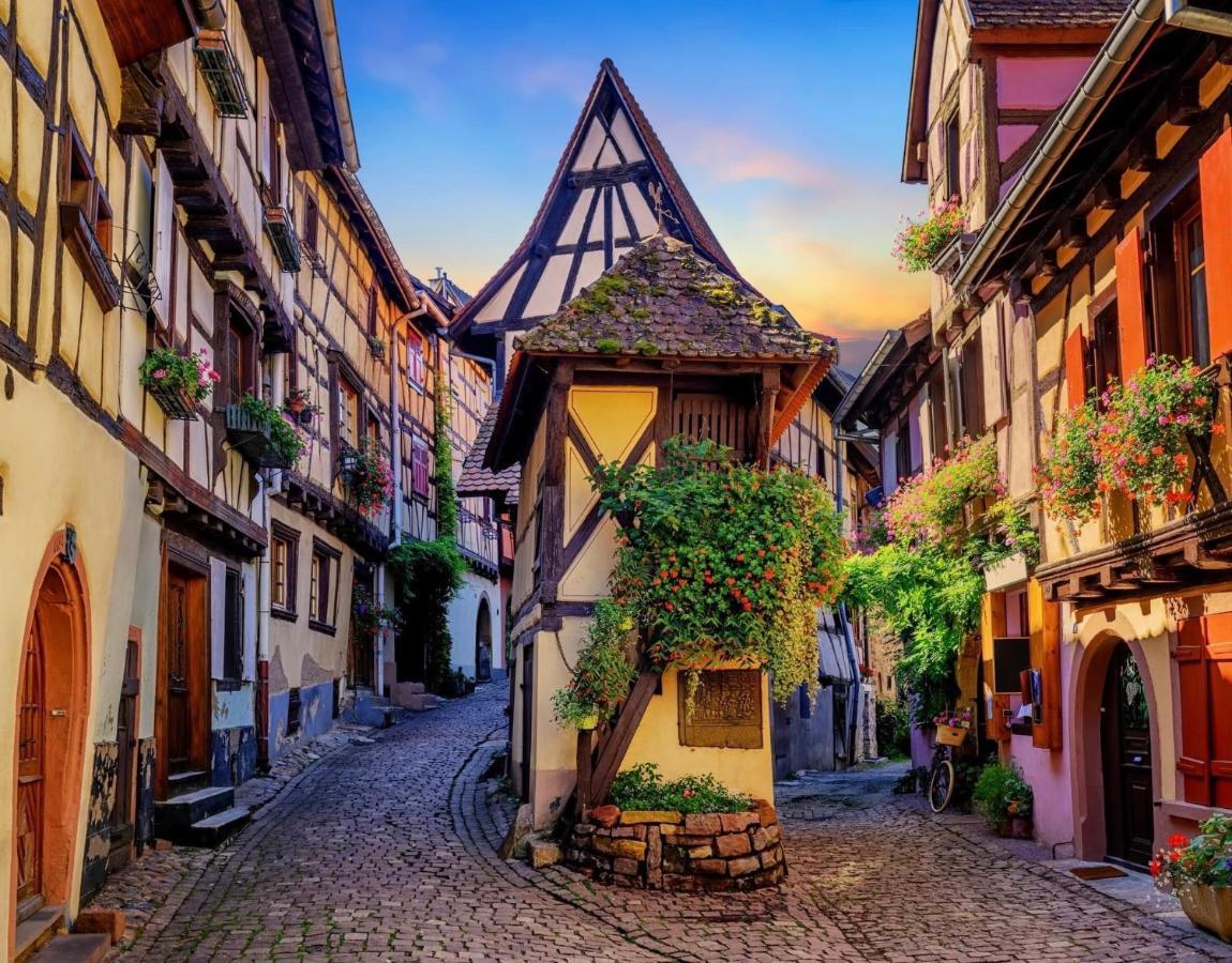 B&B Chez L'Habitant Chambre Privative Sur La Route Des Vins Tv Parking Box Velo 이젠하임 외부 사진